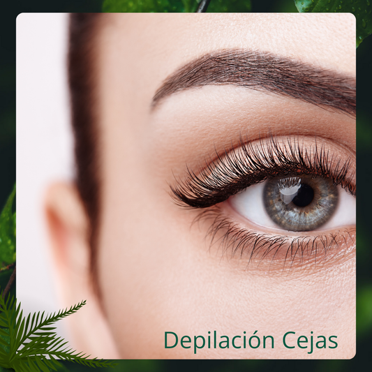 Depilación Cejas