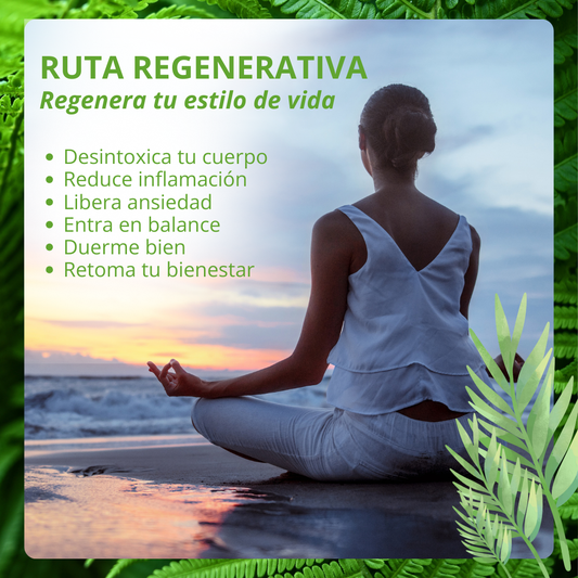 Ruta Regenerativa